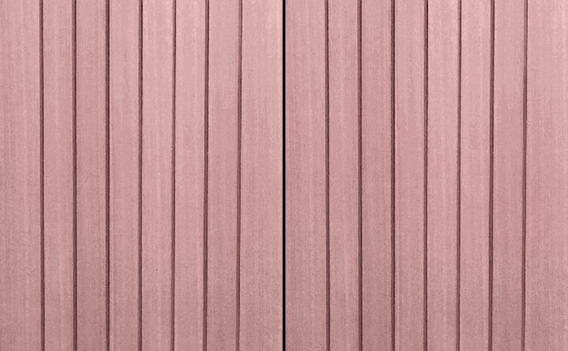 FL06 (PAIR)